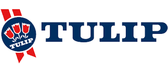Tulip